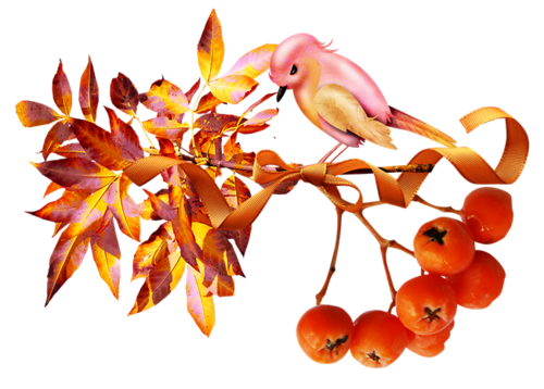 őszi állatok_10.png